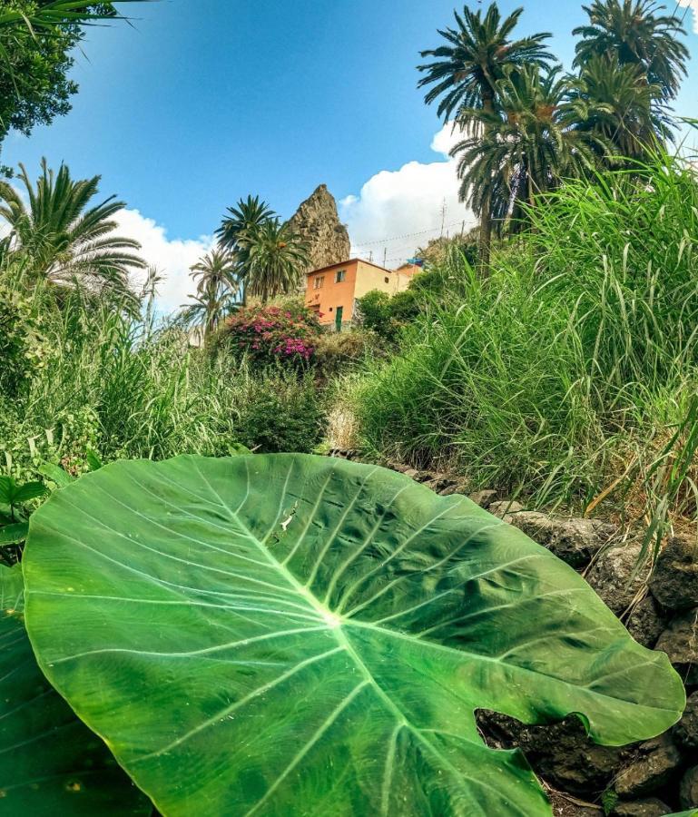Casa Buganvilla Hermigua Bagian luar foto